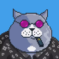 Fat Cat #797