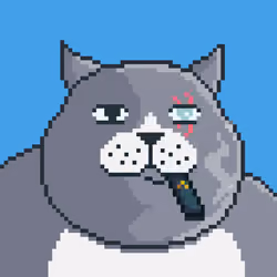 Fat Cat #711