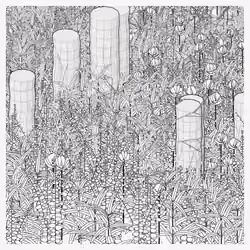 The Secret Grove #211