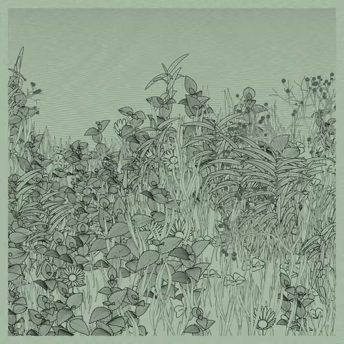 The Secret Grove #248