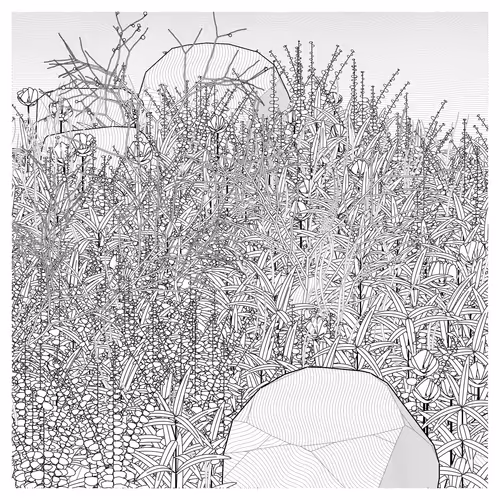 The Secret Grove