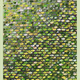 262