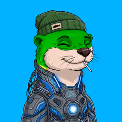 OTTO #117