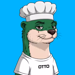 OTTO #163