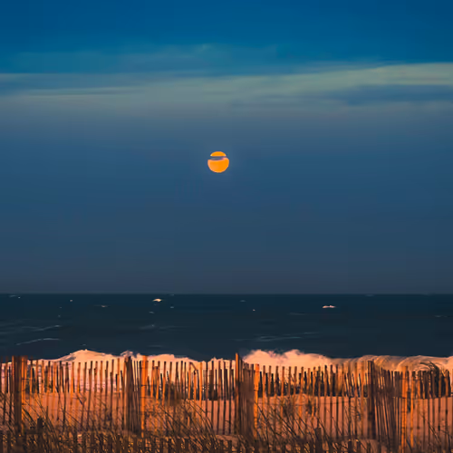 In The Summertime ph2