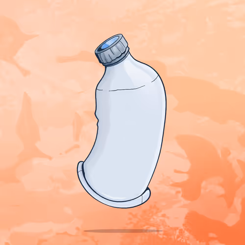 Item #42 Media