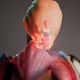 3428