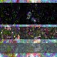 Digital Fractures