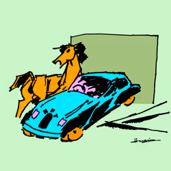 224