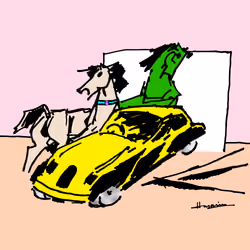 46