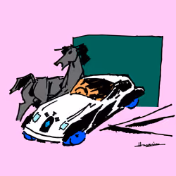 263