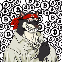255