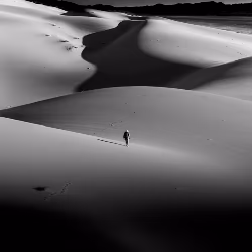 Jason Peterson
