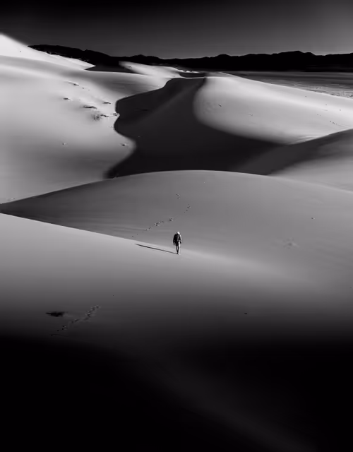 Item #6400100075 Media