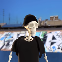 SK8r 1663