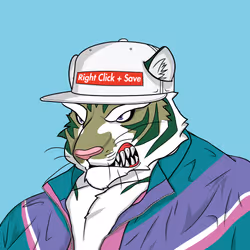 8055