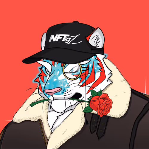 Nftigz