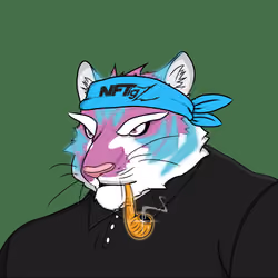 NFTigz #2416