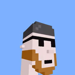 PunkVoxels #9135