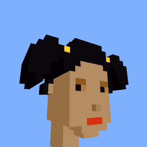 Punksvoxels Wrapped