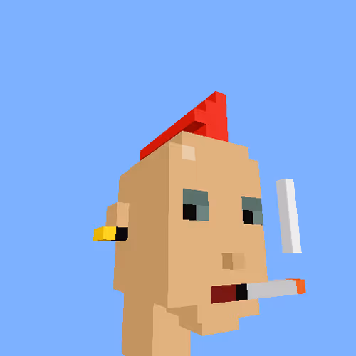Punksvoxels Wrapped