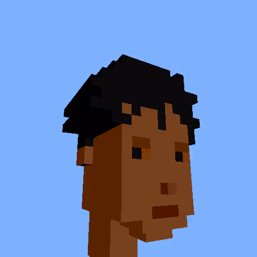 Punksvoxels Wrapped