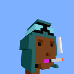 PunkVoxels #2889