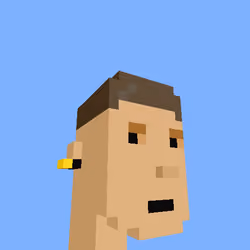 PunkVoxels #1551