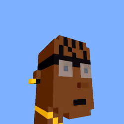 PunkVoxels #9328
