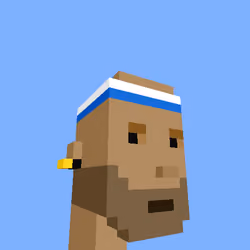 PunkVoxels #2291