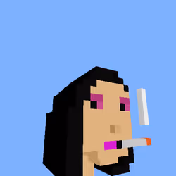 PunkVoxels #5211