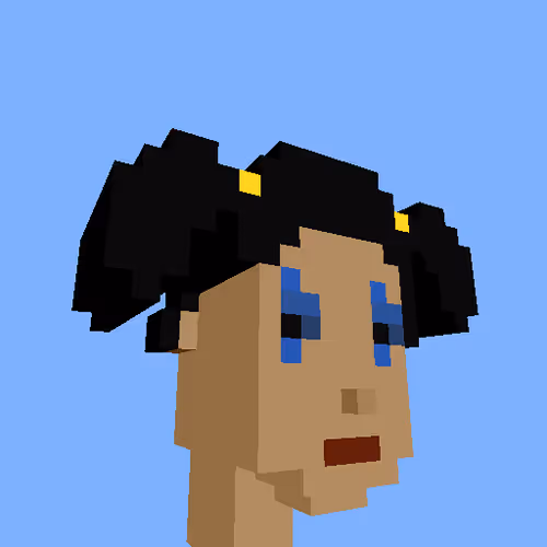 Punksvoxels Wrapped