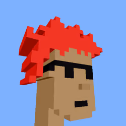 PunkVoxels #1989