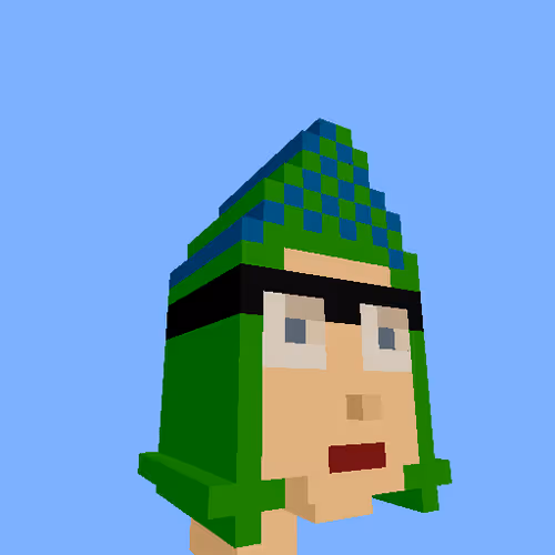 Punksvoxels Wrapped