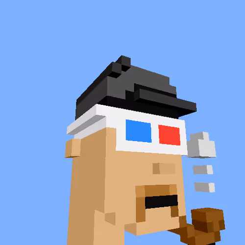 Punksvoxels Wrapped