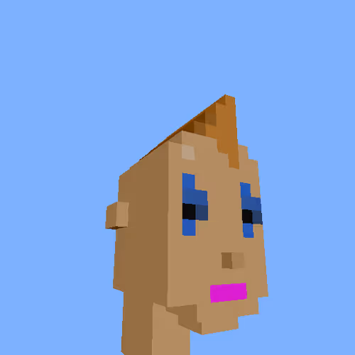 Punksvoxels Wrapped