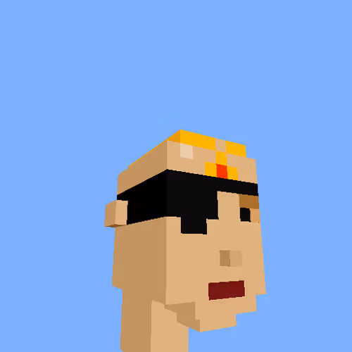Punksvoxels Wrapped