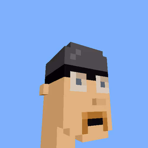 Punksvoxels Wrapped