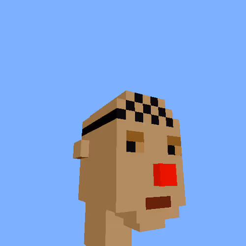 Punksvoxels Wrapped