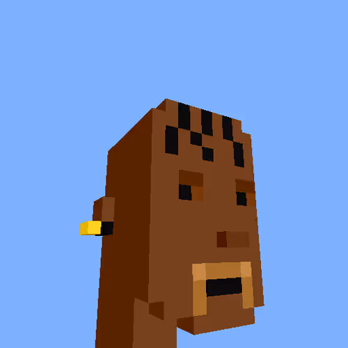 Punksvoxels Wrapped