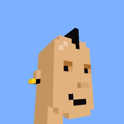 PunkVoxels #9374