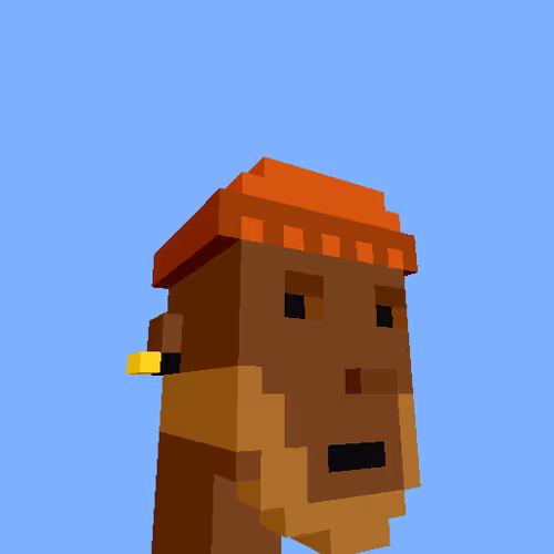 Punksvoxels Wrapped