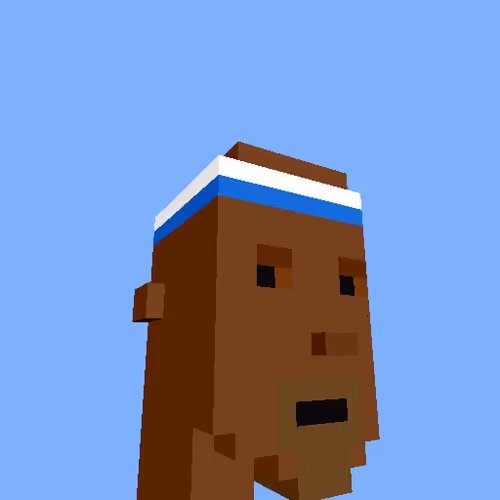 Punksvoxels Wrapped