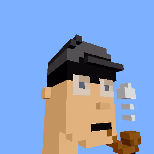 Punksvoxels Wrapped