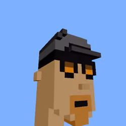 PunkVoxels #2412