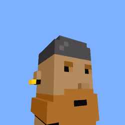 PunkVoxels #3154