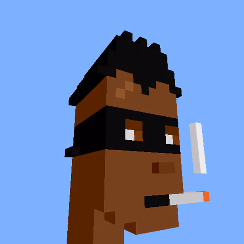 Punksvoxels Wrapped