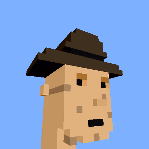 Punksvoxels Wrapped