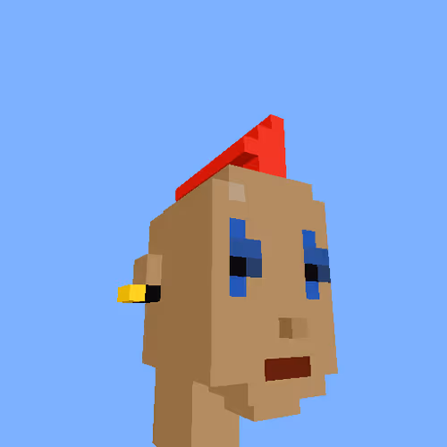 Punksvoxels Wrapped
