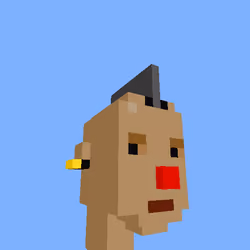 PunkVoxels #8314